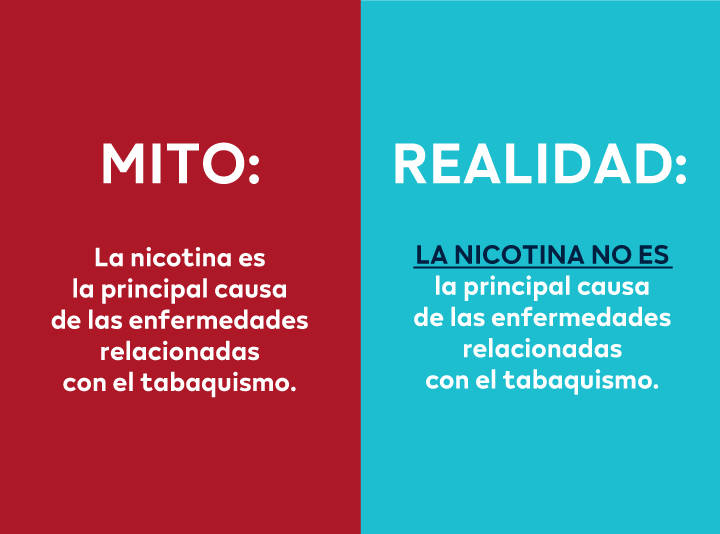 MITO: La nicotina es la principal causa de las enfermedades relacionadas con el tabaquismo. REALIDAD: La nicotina no es la principal causa de las enfermedades relacionadas con el tabaquismo.