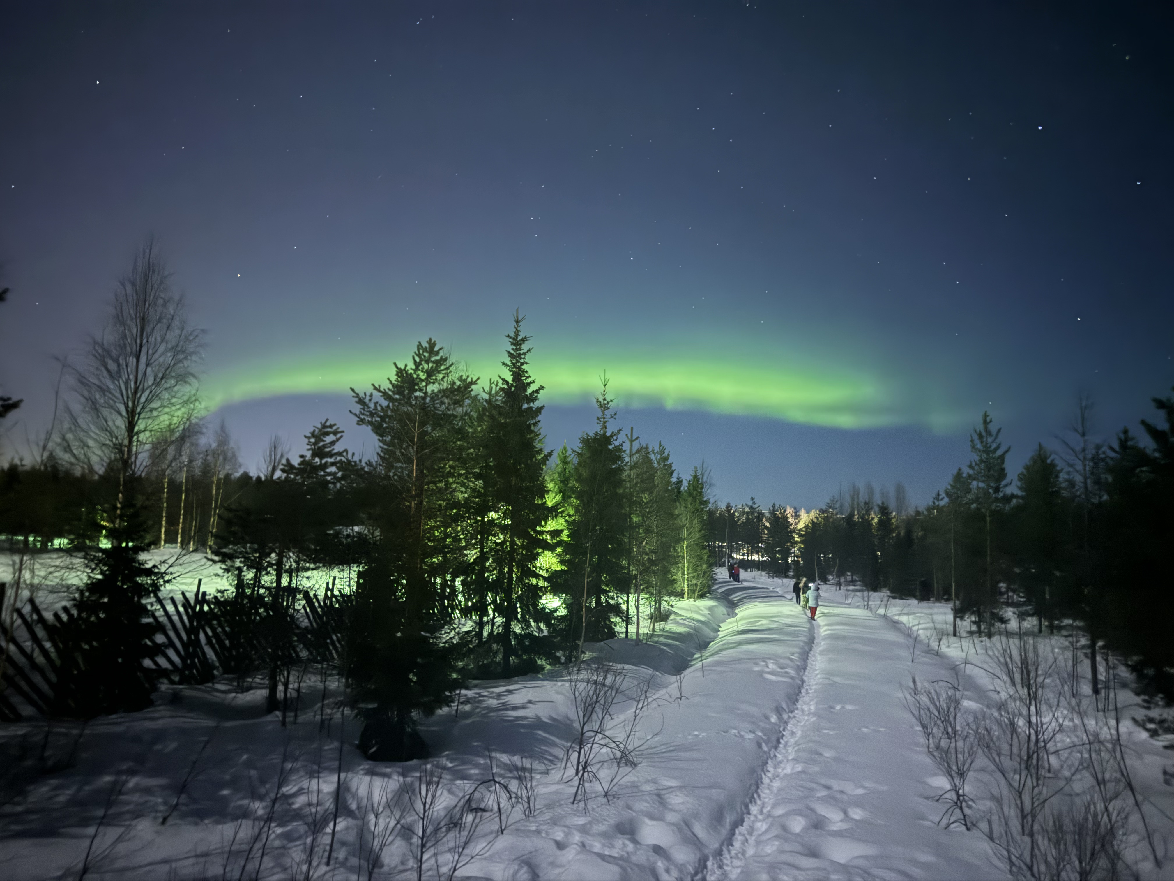 auroras boreales