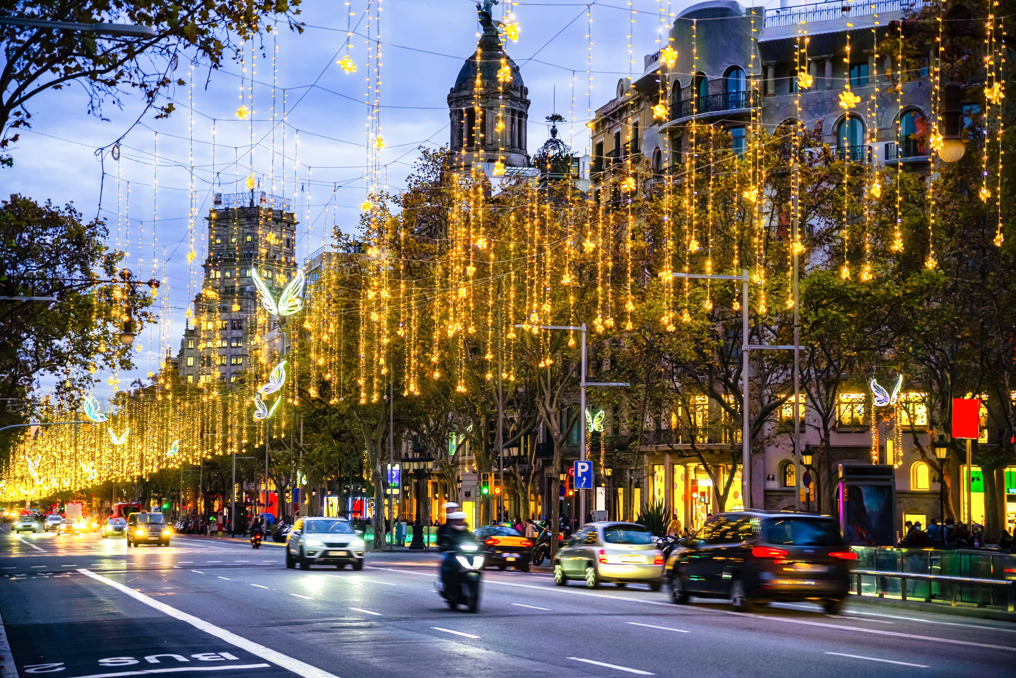 Alumbrado Navideño