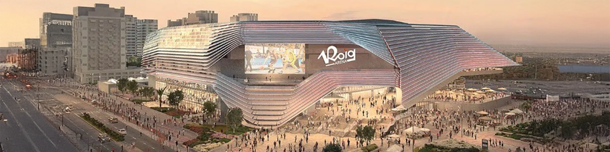 Estadio Roig Arena